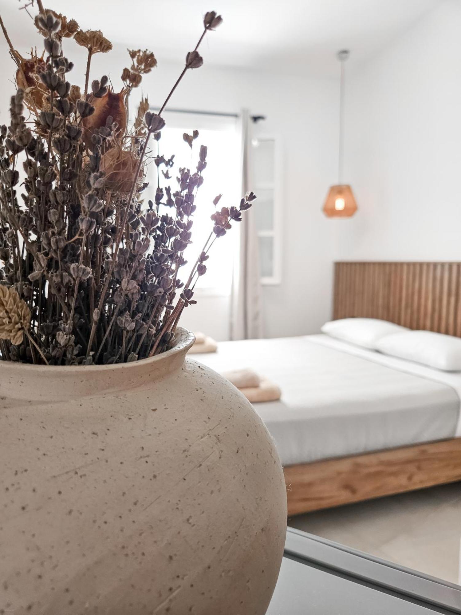 Oikia Suites Mykonos Mykonos Town 外观 照片